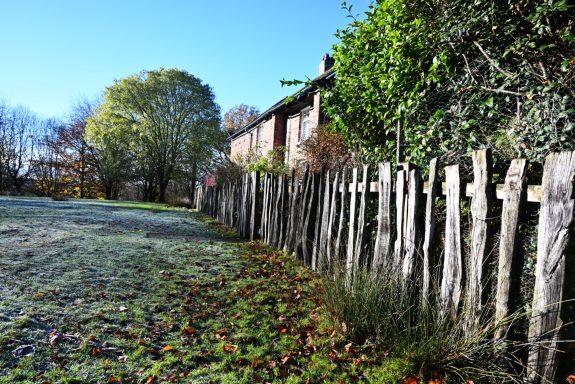 Exploring Perspective and Depth of Field