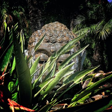 Garden Centre Jungle