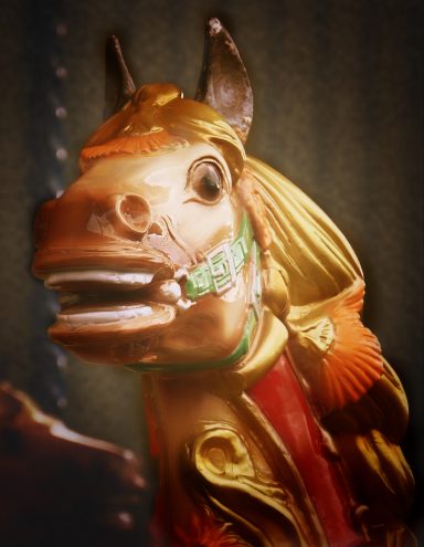 Carousel, Knowsley Safari Park