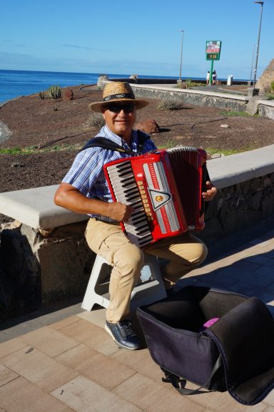 Portrait of Accordionist