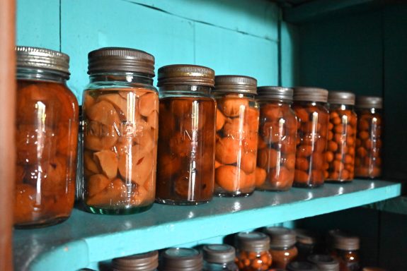 Exploring Hand Held Low Level Lighting